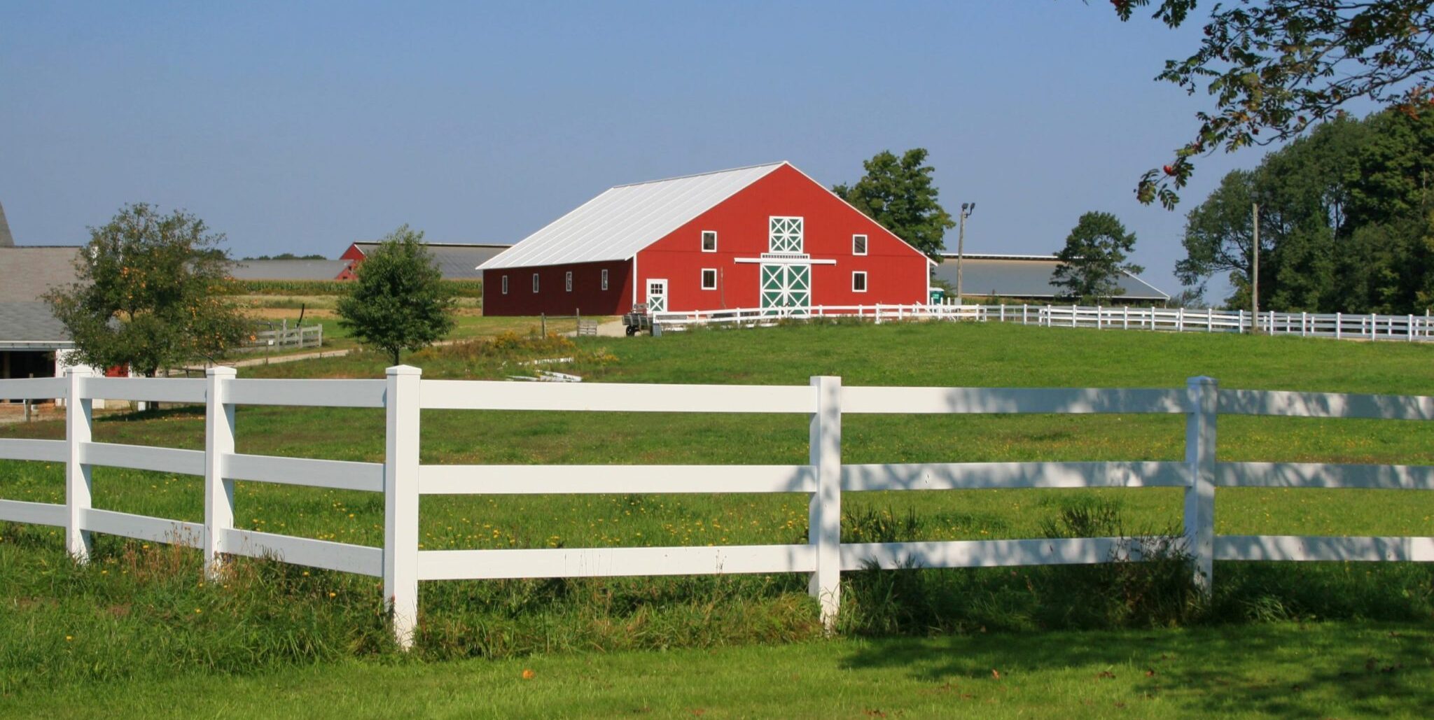 Rentable et durable : Améliorer votre bâtiment agricole avec un bâtiment toile